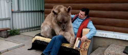 Un couple russe vit avec un ours depuis 23 ans