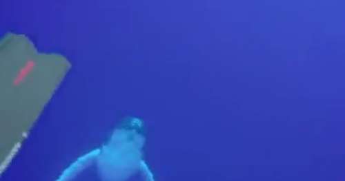 Un plongeur filme une scène extraordinaire !