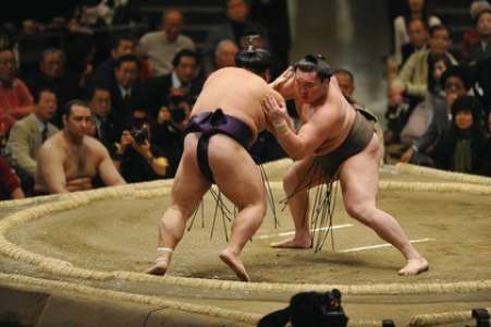 Impressionnant : un sumo se fait mettre KO en une petite seconde !