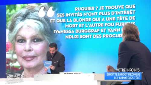 Brigitte Bardot : Cyril Hanouna et les chroniqueurs de TPMP lui répondent (VIDEO)