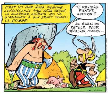 Belenos l'a voulu : trois jeux vidéo tirés de l'univers d'Asterix d'ici cinq ans