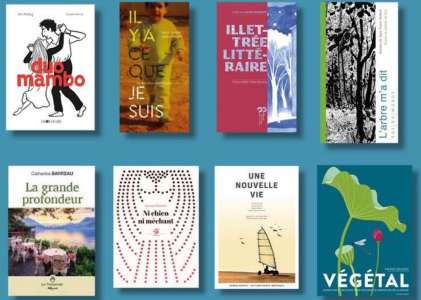 Bretagne : 8 titres en lice pour le Prix Facile à lire 2024