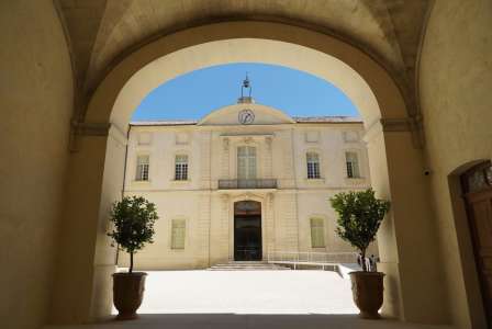 L'Inguimbertine, bibliothèque-musée sous le soleil de Provence