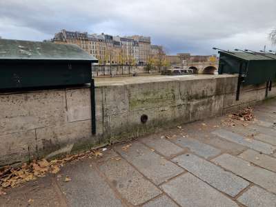 Paris vit-il les derniers instants de ses bouquinistes ?