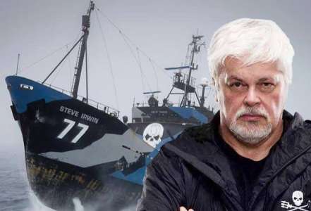 Paul Watson, l'homme qui murmurait trop à l'oreille des baleines