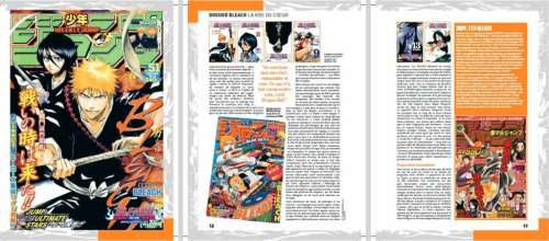 L’AnimeLand n°249 – BLEACH & Studio Pierrot est disponible en précommande !