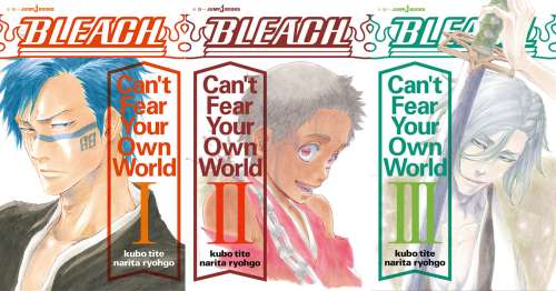 Bleach『Can’t Fear Your Own World』: Le light novel (roman) se termine avec son 3e volume