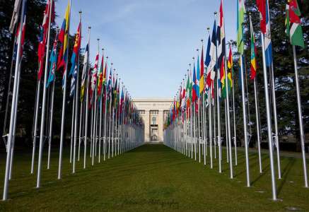 Les bibliothèques auront leur mot à dire devant les Nations unies