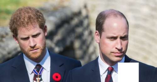 Retrouvailles d'Harry et William : voilà ce qu'ils se sont dit