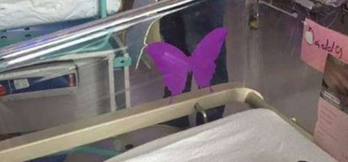 Si vous voyez un papillon violet autocollant près d’un nouveau-né, vous devez savoir ce qu’il signifie