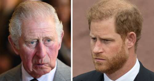 La seule chose que le prince Harry « a toujours détestée » chez son père Charles – révélée par un expert royal