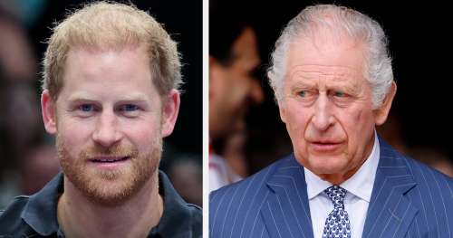 Le prince Harry va publier un nouveau livre après le décès du roi Charles – selon un expert