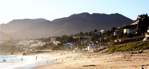  «Une mystérieuse créature échouée sur une plage de Californie du Sud»