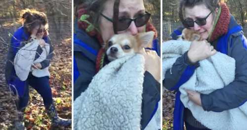 Après deux jours de recherche dans la forêt glaciale : cette maitresse ne peut contenir ses larmes quand elle voit son chien