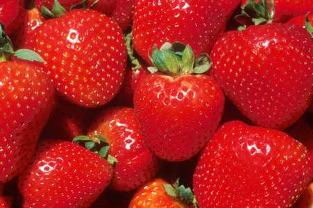 Gardez vos fraises au frais – grâce à ces conseils tout bêtes d’un fermier