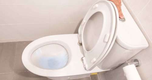 Toujours rabattre le couvercle des toilettes avant de tirer la chasse d’eau – voici pourquoi