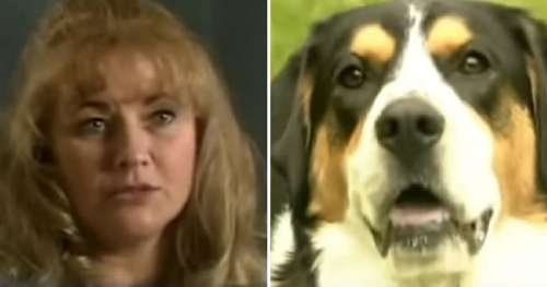 Maman choquée quand le chien lui mord le bras, puis se rend compte du danger qui guette