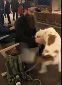 Le chien se fige devant l’homme effrayant : Regardez quand il réalise qui se cache derrière la barbe