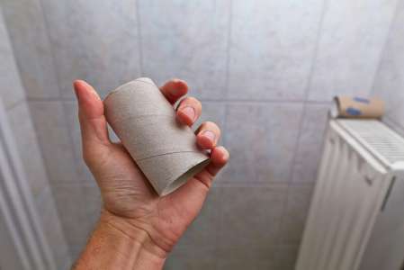 7 idées ingénieuses : ne jetez jamais vos vieux rouleaux de papier toilette ; voici pourquoi