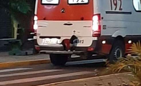 Un chien fidèle bondit dans l’ambulance – il souhaite se rendre à l’hôpital après que son maître se soit évanoui