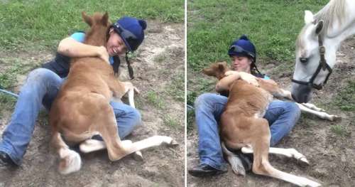 Ce petit poulain très actif « lutte » contre la cavaliere – Mais regardez maintenant le cheval adulte qui se faufile sur le côté