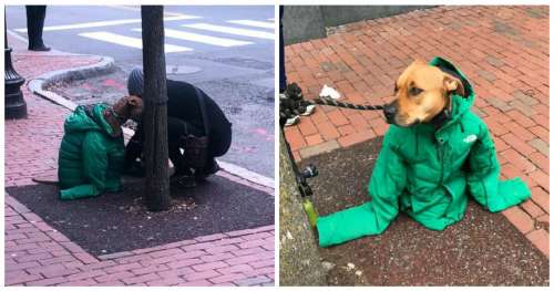 Une femme donne sa veste à son chien pour le garder au chaud pendant qu’il attend dehors