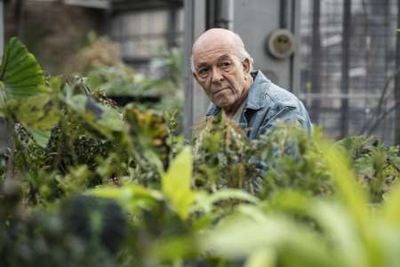 Comment regarder “Breaking Bad”, “Scarface” en l’honneur de Mark Margolis