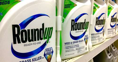 SONDAGE : Quelle est votre opinion sur le glyphosate ?