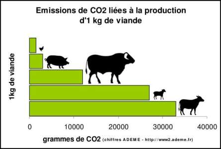 Les trois plus gros producteurs de viande polluent plus que la France toute entière