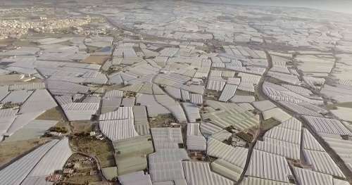 Voici pourquoi vous ne devez pas manger de tomates en hiver