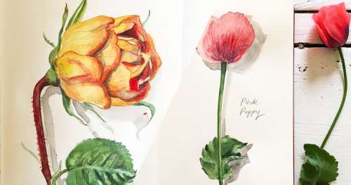 Cette artiste dessine avec délicatesse les magnifiques fleurs qu’elle croise sur son chemin