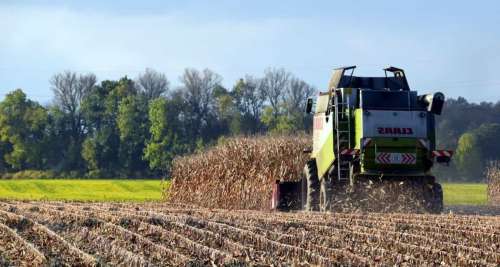 Dettes, surmenage… Pourquoi tant d’agriculteurs français sont au bord du suicide ?