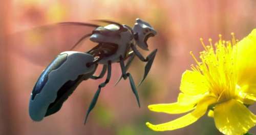 Ce géant américain développe des abeilles robotisées pour polliniser les cultures