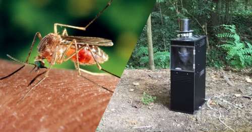 Voici l’invention française qui va lutter contre l’invasion des moustiques tigres… en les aspirant !