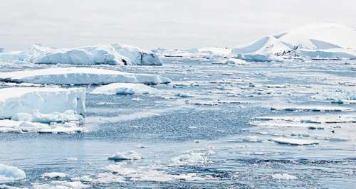 10 ans… C’est le temps qu’il nous reste pour sauver l’Antarctique