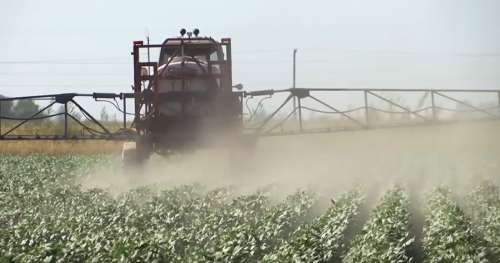 En Argentine, ces agriculteurs ont dit adieu au glyphosate et s’en sortent parfaitement