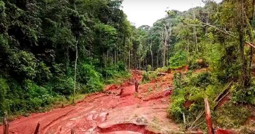Ce reportage édifiant dévoile les techniques barbares employées pour extraire l’or en Amazonie
