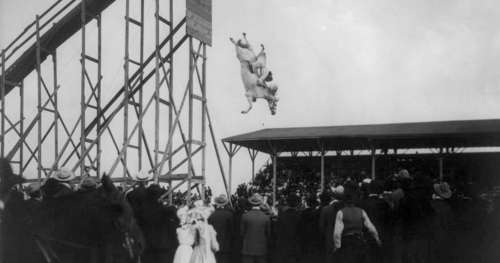 « Les chevaux plongeurs », ce spectacle controversé et cruel qui attirait les foules jusqu’en 1978