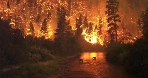 Un incendie dévastateur ravage la Suède… Et ce ne sont que les prémices du réchauffement climatique