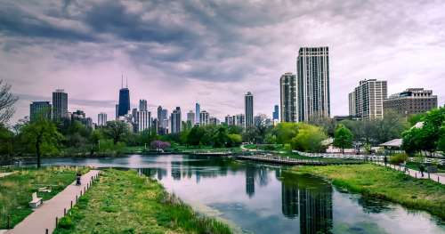 L’écologie urbaine est en plein essor, mais en quoi consiste-t-elle vraiment ?