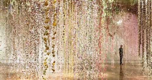 Rebecca crée de gigantesques cascades de fleurs pour illustrer le lien entre l’Homme et la nature