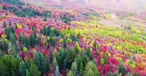 Quand l’Utah se pare des couleurs de l’automne : un spectacle magnifique