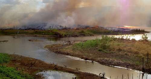 La déforestation de l’Amazonie accélère : l’équivalent d’1 million de terrains de foot rasé en un an