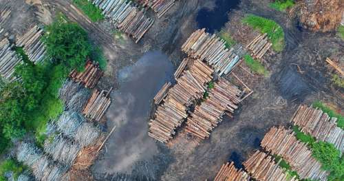 Chaque Français détruit 352 m² de forêt chaque année