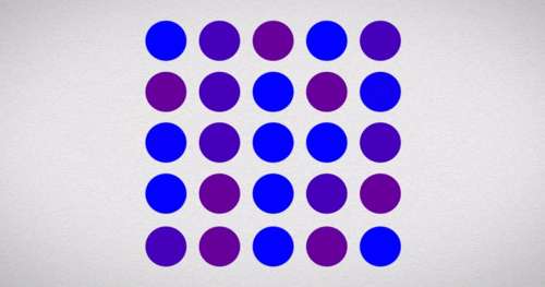 Points bleus ou violets ? Cette illusion d’optique aide les chercheurs à étudier notre jugement