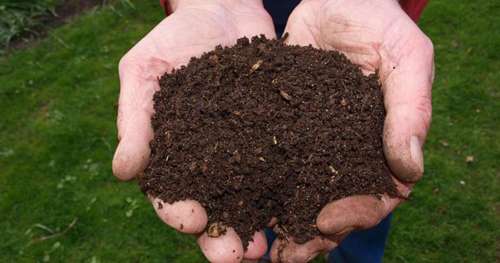 Le “compost humain” vient d’être légalisé dans l’Etat de Washington