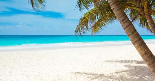 Le saviez-vous ? Les plages de sable blanc sont en fait pleines de caca de poisson