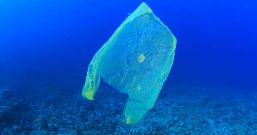 En battant le record de profondeur, ce plongeur est tombé sur… un sac plastique