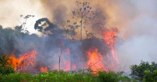 Amazonie : 72 843 départs de feu enregistrés depuis le début de l’année