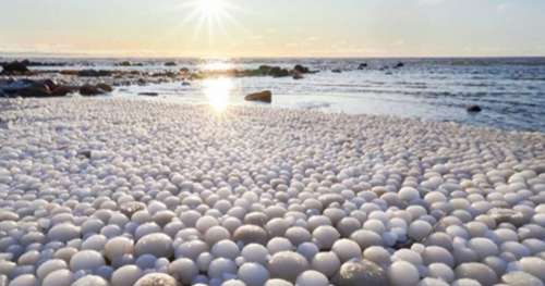 De surprenants « oeufs de glace » sont apparus sur une plage finlandaise